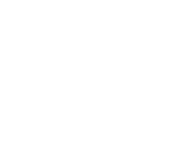 logo_secondary - white